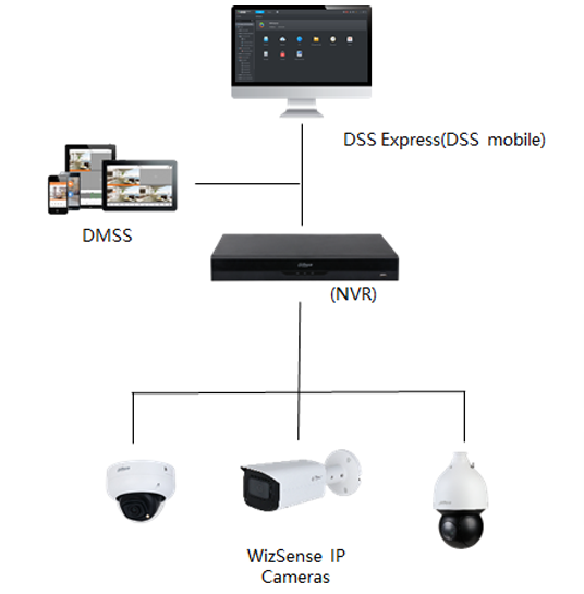 WizSense IP Cameras + NVR