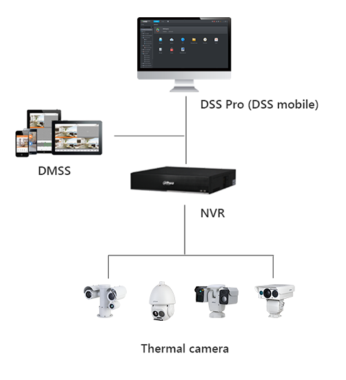 Thermal Cameras + NVR
