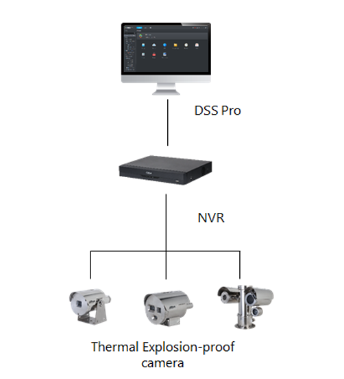 Thermal Camera + NVR