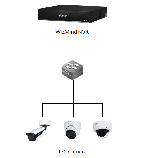Normal IPC +WizMind NVR