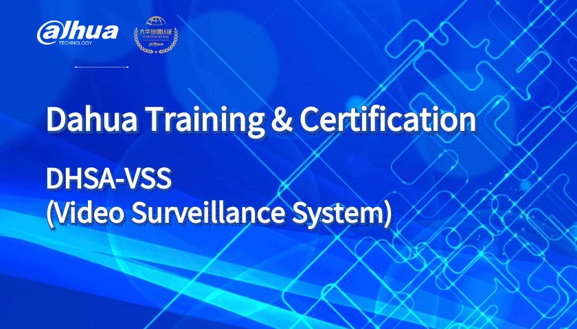 DHSA-VSS (Video Surveillance System) 2024